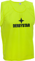 Derbystar Trainingshesje / Overgooier 6811
