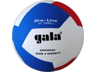 Gala Volleybal Proline BV 5585S Handshake 