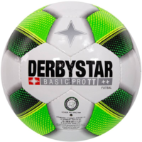Derbystar Voetbal Futsal Basic Pro TT 1077