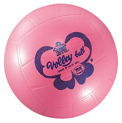 Trial Butterfly (first) volleyball 21 cm (BV20)