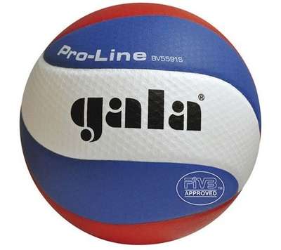 GALA Volleybal Pro-line 5591S10