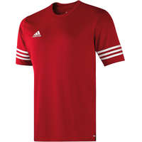 Adidas jersey Entrada 14