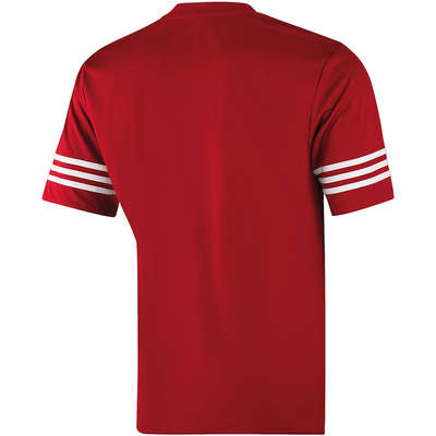 Adidas jersey Entrada 14