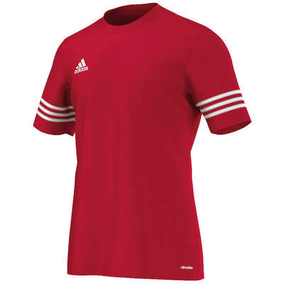 Adidas jersey Entrada 14
