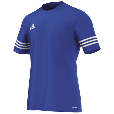 Adidas jersey Entrada 14