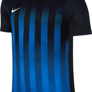 Nike Striped Divisie II Jersey Black/Blue
