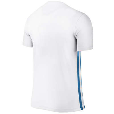 Nike Striped Divisie II Jersey White/Blue