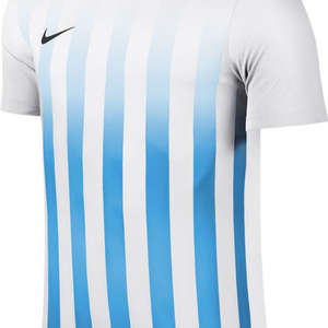 Nike Striped Divisie II Jersey White/Blue
