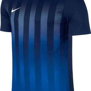 Nike Striped Divisie II Jersey Navy/Blue