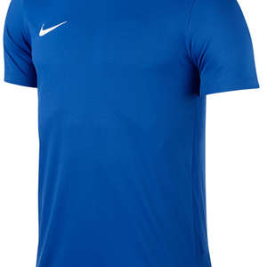 Nike Park VI Jersey Blauw