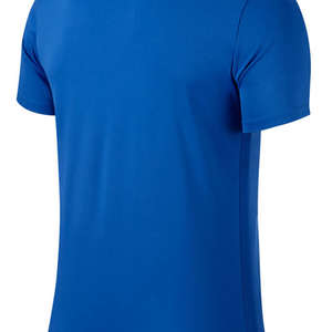 Nike Park VI Jersey Blauw