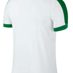 Nike Striker IV Jersey White/Green
