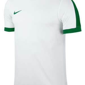 Nike Striker IV Jersey White/Green