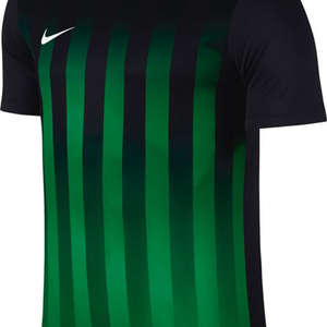 Nike Striped Divisie II Jersey Black/Green