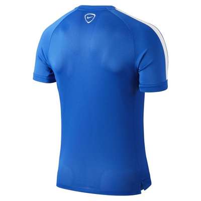 Nike Squad 15 Flash Training Top Blue