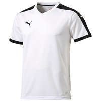 Puma Pitch Shortsleeved Shirt