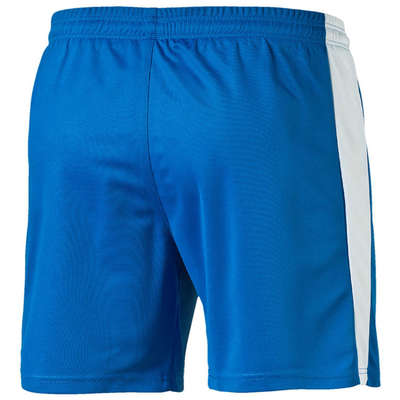 Puma Short Pitch