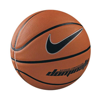 Nike Basketbal Dominate