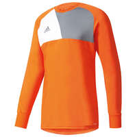 Adidas Goalkeeper Jersey Assista 17
