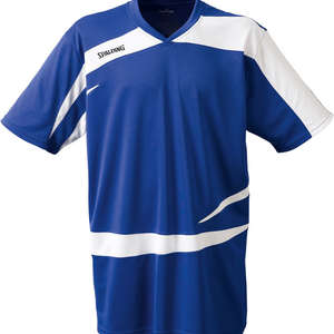 Spalding Shooting Shirt Logo 2.0