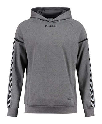 Hummel Authentic Charge Poly Hoodie