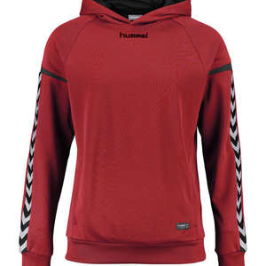 Hummel Authentic Charge Poly Hoodie
