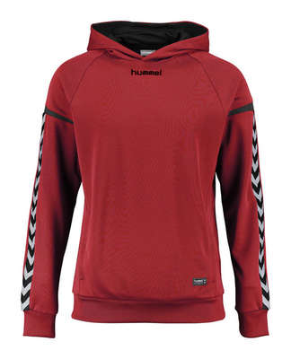 Hummel Authentic Charge Poly Hoodie