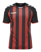 Hummel JERSEY 1/2 Core gestreepte jersey ss