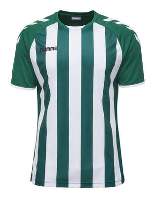 Hummel JERSEY 1/2 Core Striped Jersey SS
