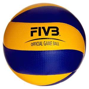 Mikasa Volleybal MVA200 