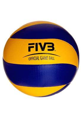 Mikasa Volleybal MVA200 