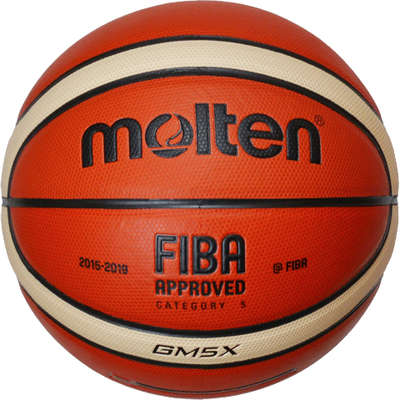 Molten Basketbal GM5X