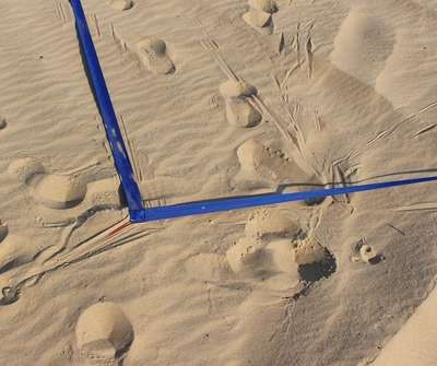 Gameballs Courtline Basic 50 mm 16 x 8 meter