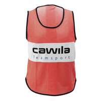 Cawila Trainingshesje / Overgooier Pro
