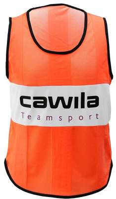Cawila Trainingshesje / Overgooier Pro