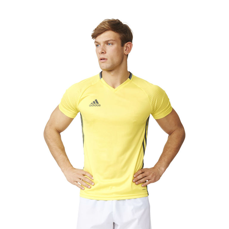 adidas Performance Condivo 16 trainingsshirt heren