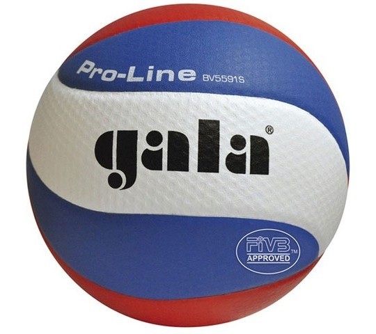 GALA Volleybal Pro-line 5591S10 afbeelding