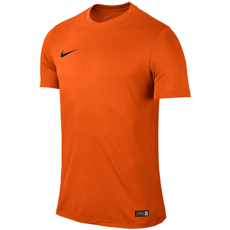 Nike Park VI SS Jersey