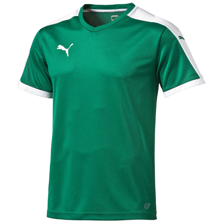 Puma Pitch Shortsleeved Shirt