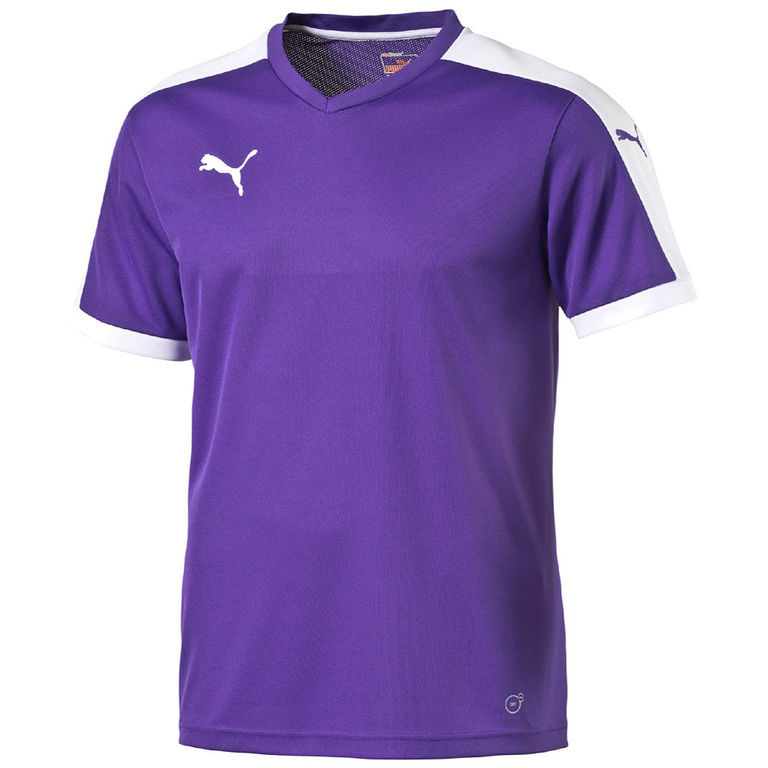 Trainingspakken Puma Pitch Shortsleeved Shirt