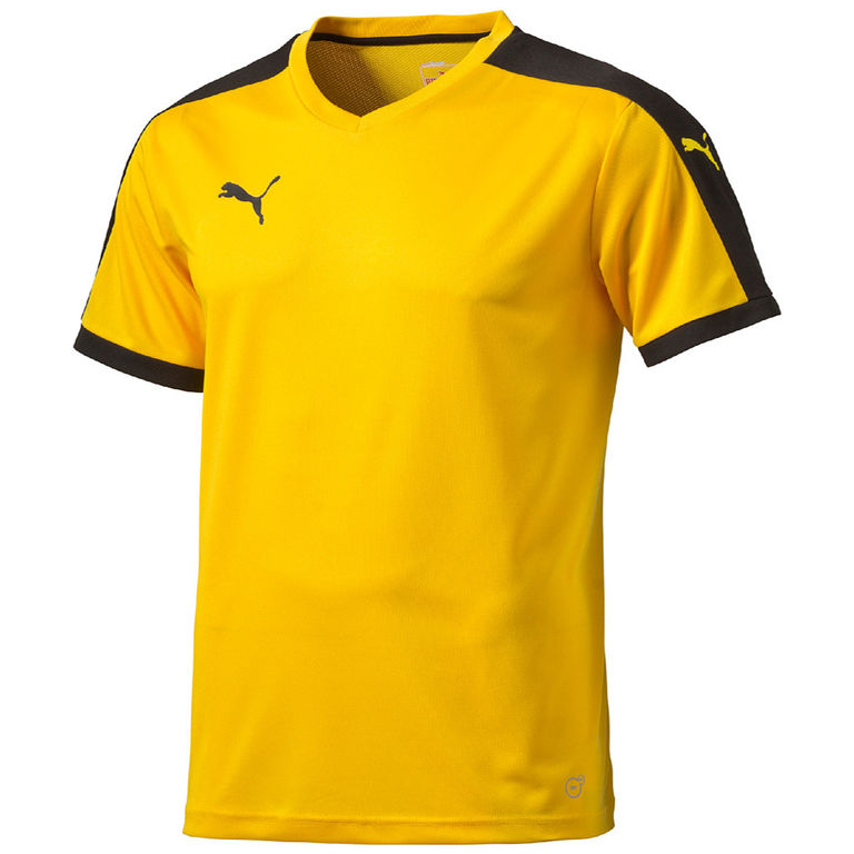 Trainingspakken Puma Pitch Shortsleeved Shirt