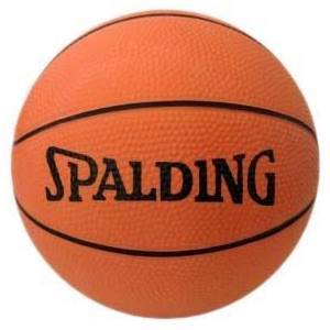 Spalding Mini Basketbal Set 10 Stuks