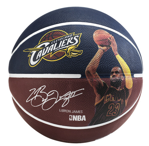 Spalding Basketbal NBA Spelersbal Lebron James