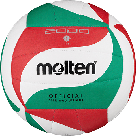 Molten Volleybal V5M2000 molten kopen in de aanbieding